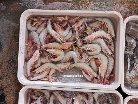 Pontian Wholesale Fish Market Update 2018 Johor Kaki Travels For Food