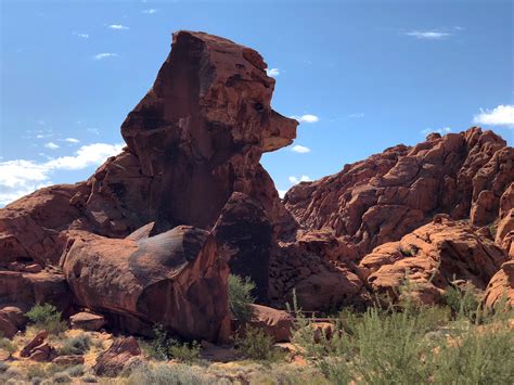 7 Scenic Day Trips From Las Vegas - {Not Quite} Susie Homemaker