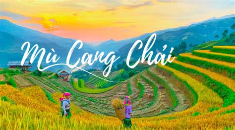 Mù Cang Chải mùa lúa chín - Vẻ đẹp của mùa vàng Yên Bái