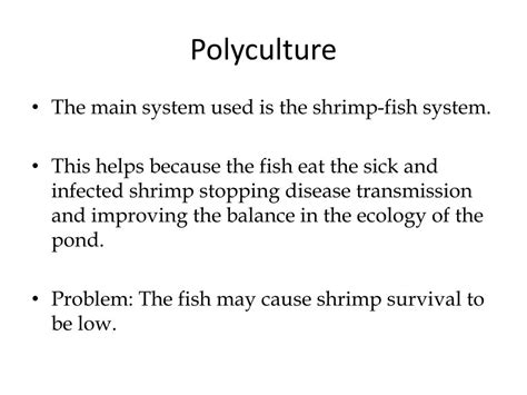 Ppt Effects Of Shrimp Farming On Mangroves Powerpoint Presentation