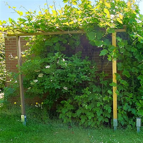 Ev Kirchengemeinde Aachen Johannesgarten