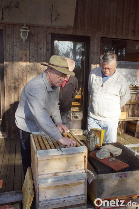 Bei den Imkern beginnt das Bienenjahr Frühjahrs Check am Bienenstock