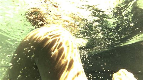 Book Trailer EL CEREBRO DE MI HERMANO Rafael Pérez Gay YouTube