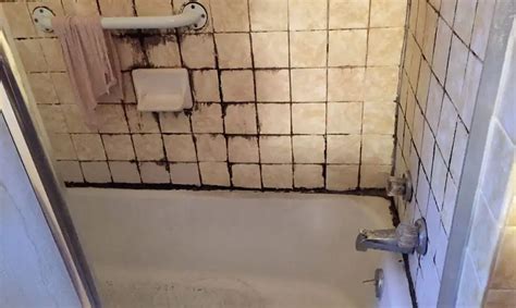 How Do I Clean Black Mold In Shower Silicone