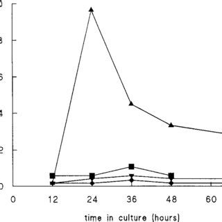 Time Course Of 3 H Thymidine Incorporation Into DNA By Hepatocytes