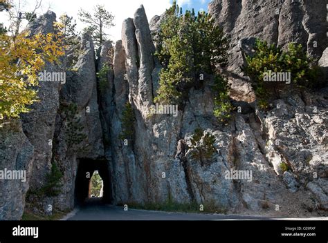 Tunnel, Needles Highway, Custer State Park, South Dakota Stock Photo ...