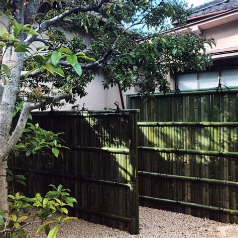 Top 50 Best Bamboo Fence Ideas Backyard Privacy Designs