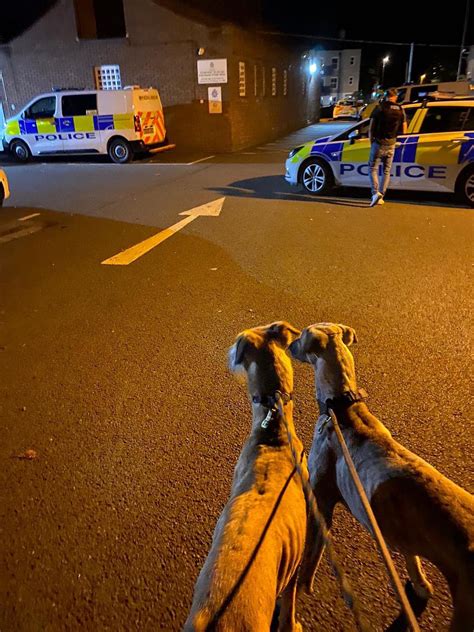 Cambs Police 💙 On Twitter Last Night Officers In Huntingdon Responded