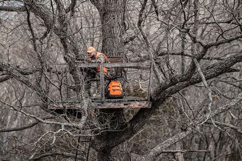 Hunting Blind Chairs: Options for Comfort, Utility, and Durability ...