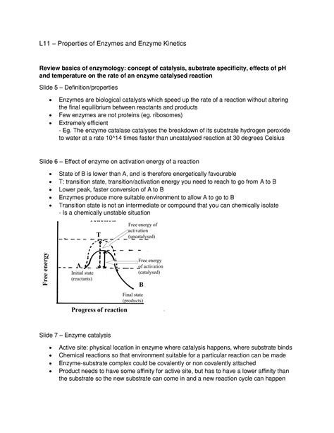 What Are The Properties Of An Enzyme 3