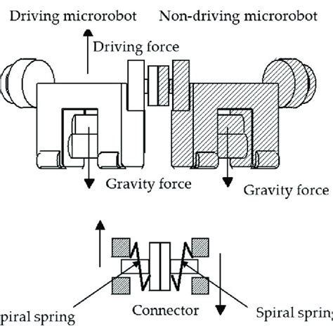 Hoop Force Acting On The Microrobot The Spring Force Is Converted To