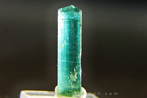 Tourmaline Elba Te Indigolite Cruzeiro Mine Minas Gerais Br Sil