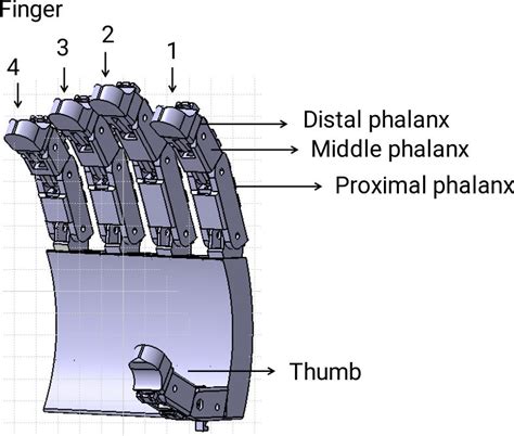 prototype   hand  scientific diagram