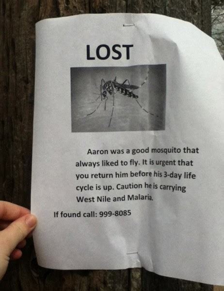 20 Hilarious 'Lost Pet' Signs