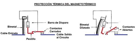 El Interruptor Magnetot Rmico Funcionamiento Curvas Selectividad