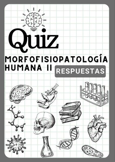 Morfofisiopatologia Humana Ii Preparaci N Para El Examen Respuetas