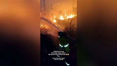 Kebakaran Hektare Hutan Dan Lahan Ancam Permukiman Warga Teluk Bayur