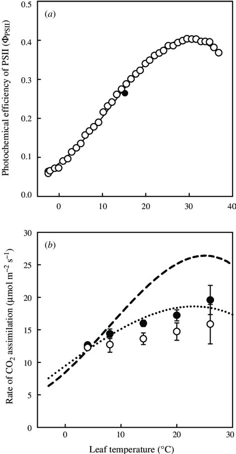 A Photochemical Efficiency Of PSII F PSII As A Function Of Leaf