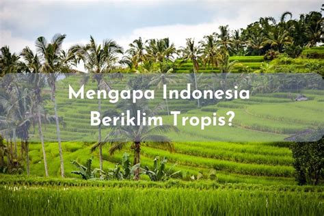 foto  indonesia beriklim tropis