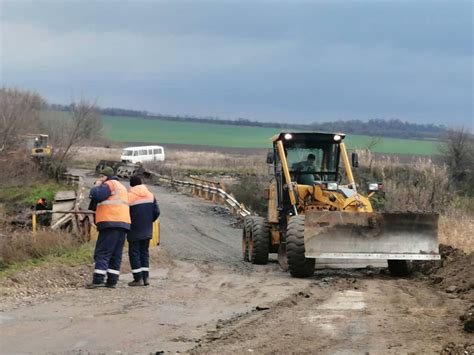 Special Kherson Cat On Twitter Meanwhile Restoration Of The