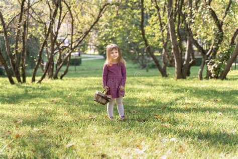 Portrait of Little Girl Child on the Grass in Sunny Summer Day Stock Image - Image of caucasian ...