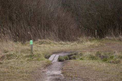 De Mooiste Wandelroutes Op De Utrechtse Heuvelrug Artofit