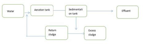 Introduction to Activated Sludge Process-Sewage Treatment - chiwatec