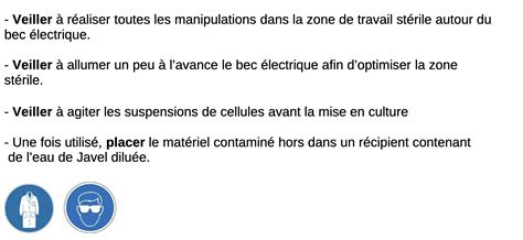 Tp Observer Leffet Mutag Ne Des Rayons Uv Sur La Levure