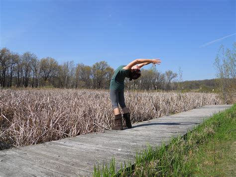 Balanced Tray Yoga | Madison WI