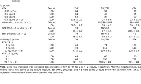 Effect Of CTX And PTX On TNF A Induced Decrease In Steady State Levels