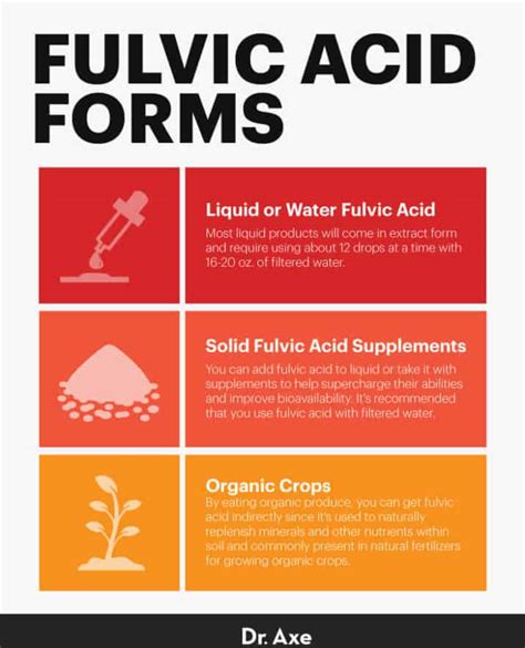 7 Fulvic Acid Benefits And Uses Improve Gut Skin And Brain Health