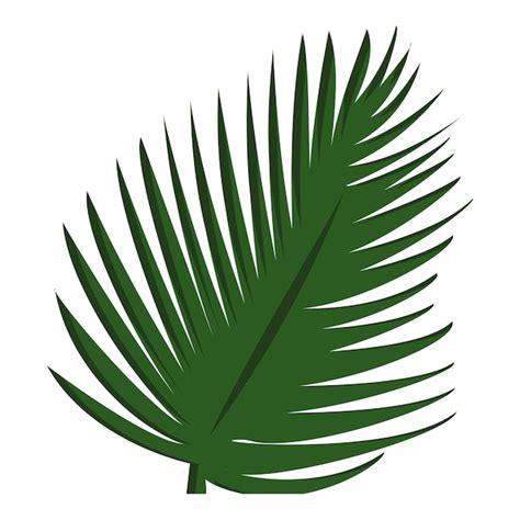 Icono De Hoja De Palma Icono Vectorial De Hoja De Palmera Para Dise O