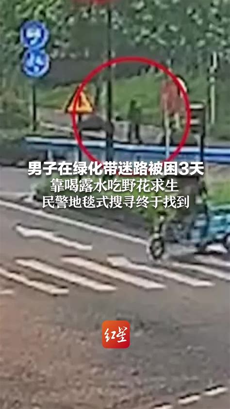 男子在绿化带迷路被困3天 靠喝露水吃野花求生 民警地毯式搜寻终于找到 凤凰网视频 凤凰网