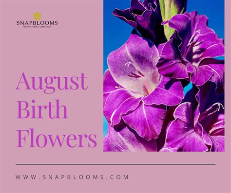 August Birth Flower and Their Meanings - SnapBlooms Blogs