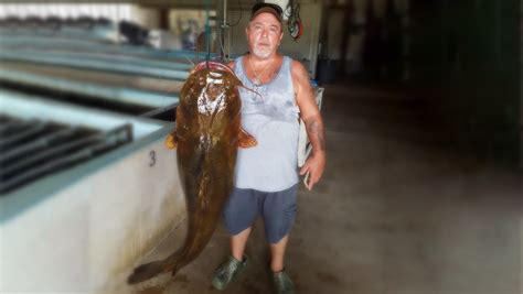 Foto Bate Un Récord Al Pescar Un Bagre De 31 7 Kilogramos En Un Río De Florida Rt