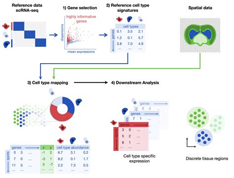 Spatial Deconvolution Single Cell Best Practices