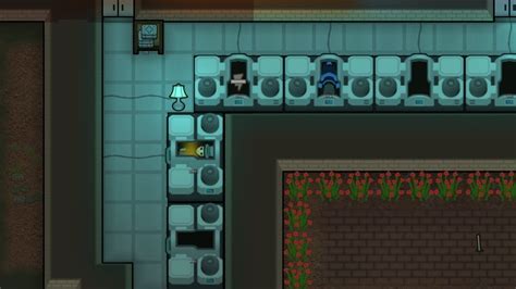 Rimworld Pregnancy And Raising Children Guide Hgg