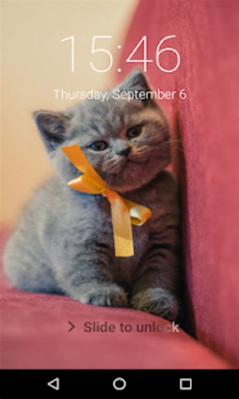 Cute Cat Lock Screen Passcode Pattern Cute Cat для Android — Скачать