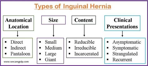 Inguinal Hernia Symptoms Treatment Prevention We Care