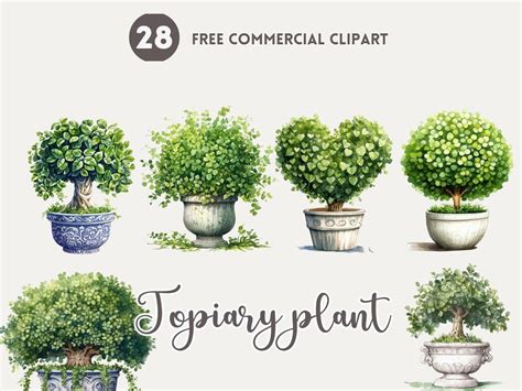 Topiary Planter Watercolor Clipart Bundle Potted Plant Free Commercial