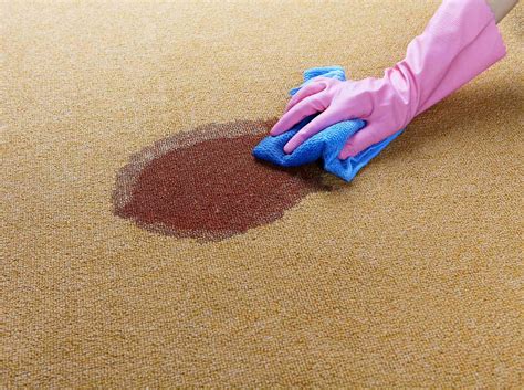 How To Get Blood Stains Out Of Carpet