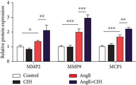 Cih Upregulates Mmp Expression And Mtros Generation In Vitro The