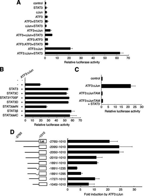 Neuronal Injury Inducible Gene Is Synergistically Regulated By ATF3 C