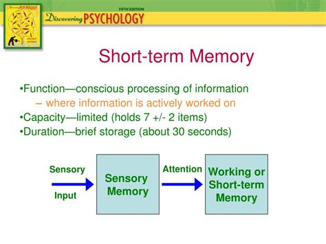 Ppt Chapter 6 Memory Powerpoint Presentation Free Download Id5639891