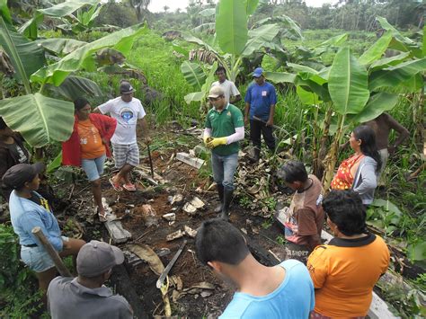 Barreirinha Atividades De ATER Beneficiam Agricultores Da Comunidade