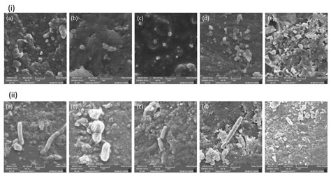 Polymers Free Full Text Biological And Physicochemical