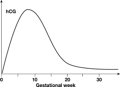 Hcg Pregnancy Levels Prenatal Vitamins