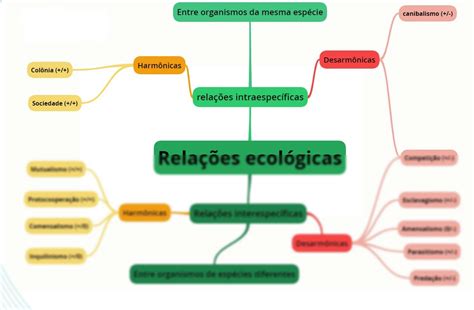 SOLUTION Mapa Mental RELAÇÕES ECOLÓGICAS Ecologia Biologia Studypool