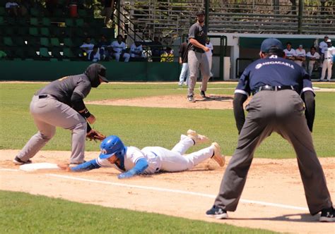 Ser Una Final In Dita En La Liga Japac De Beisbol Sateliteonline Mx