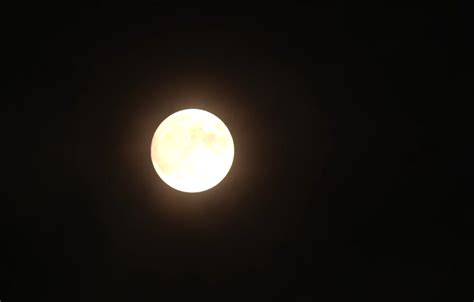 Super Blue Moon Lights Up Sky Theprint Anifeed